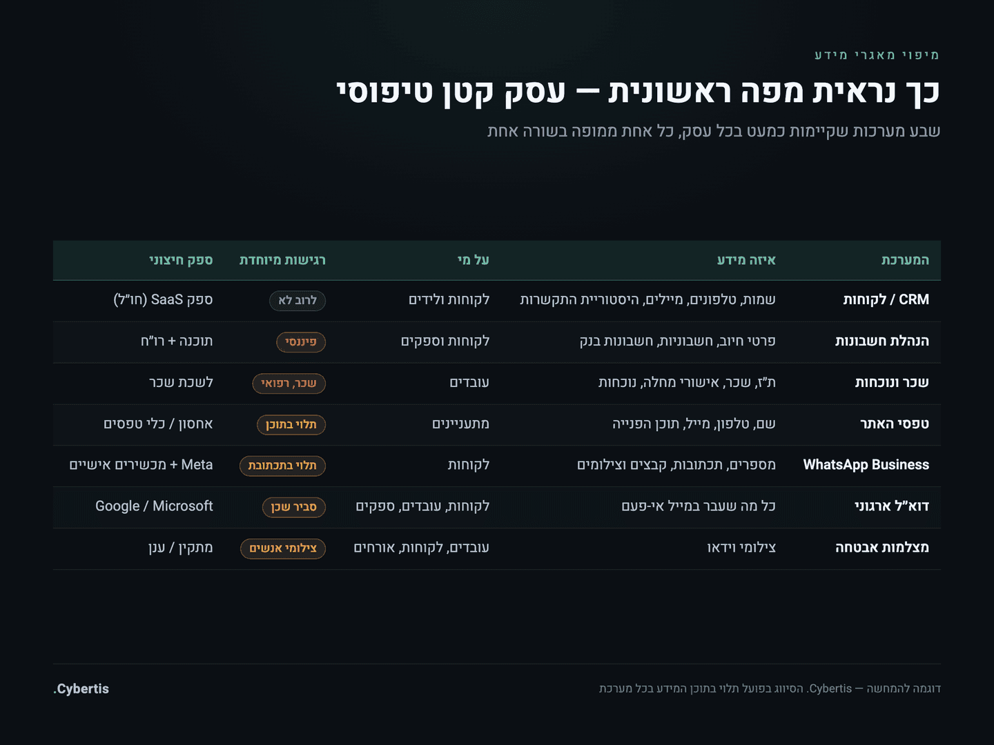 אינפוגרפיקה: טבלת מיפוי מאגרים לדוגמה בעסק קטן טיפוסי — שבע מערכות בשבע שורות